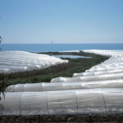 1 Lw 05 205032202 Hothouses Sicily Zw