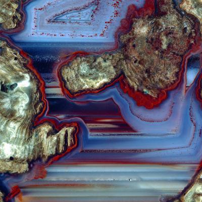 1 Lw 16 92095301 Esterel Lithopjhyse Corniche