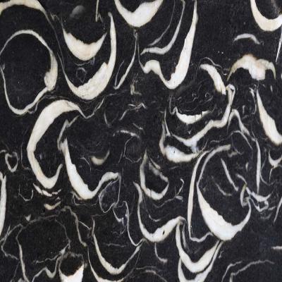 9 Vp 13 219010002 Mollusc Fossil Breccia Def