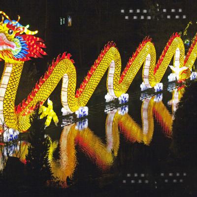 9 Vp 23 214120019 Water Dragon Vib Zw