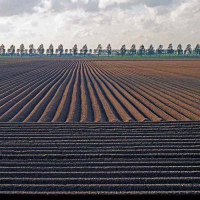 9 Vp 65 86053019 Ploegvoren Pan