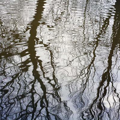 3 Pl 41 215020026 Undular Reflections Ii