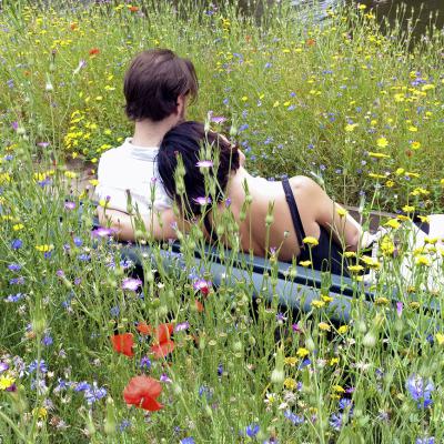 3 Pl 49 219070011 Zomer. Hortus Amsterdam 2019