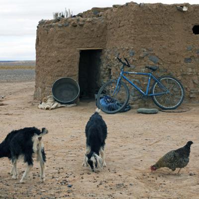 5 Md 87 210100074 Stil Leven