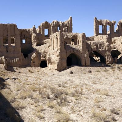 Remains Of A Desert Manor Iran dirk wiersma