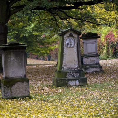 autumn leaves wittenberg dirk wiersma