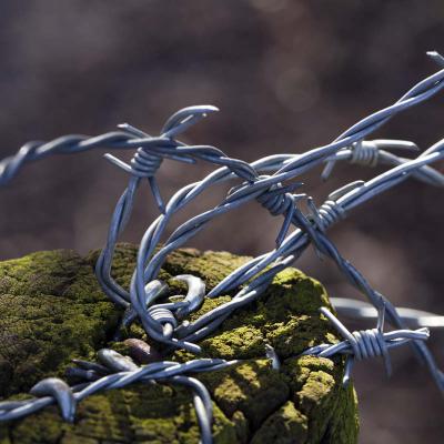 Barbed Wire dirk wiers,a